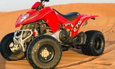 Red-Buggy